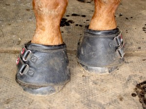 New Hoof Boot Design EQUINE Ink